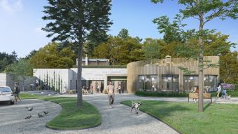 DS Pastelkov&aacute; Jez&iacute;rko